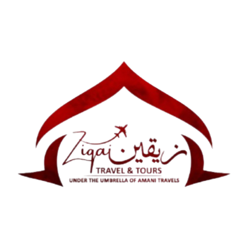 Ziqain Logo